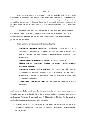 Bakterinės β- laktamazės ir jų nustatymo būdai. Paveikslėlis 2