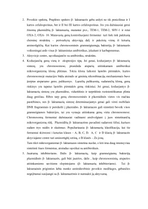 Bakterinės β- laktamazės ir jų nustatymo būdai. Paveikslėlis 3
