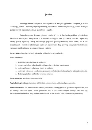 BAKTERIJŲ ETIOLOGIJA. Paveikslėlis 3