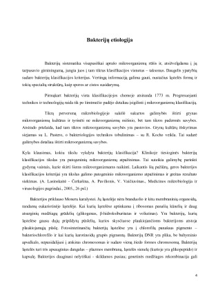 BAKTERIJŲ ETIOLOGIJA. Paveikslėlis 4