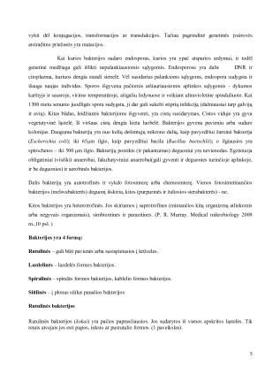 BAKTERIJŲ ETIOLOGIJA. Paveikslėlis 5
