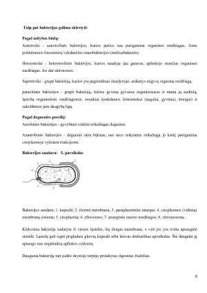BAKTERIJŲ ETIOLOGIJA. Paveikslėlis 8