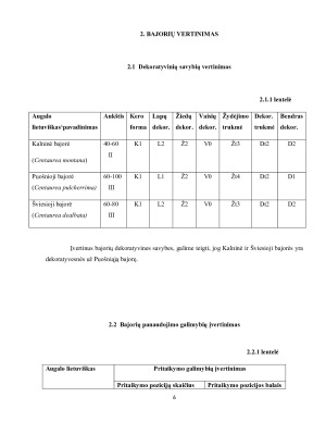 Bajorių morfologiniai požymiai, dekoratyvinės savybės ir panaudojimo galimybės gėlynuose. Paveikslėlis 6