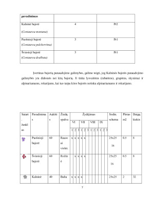 Bajorių morfologiniai požymiai, dekoratyvinės savybės ir panaudojimo galimybės gėlynuose. Paveikslėlis 7
