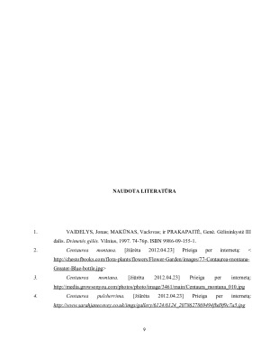 Bajorių morfologiniai požymiai, dekoratyvinės savybės ir panaudojimo galimybės gėlynuose. Paveikslėlis 9