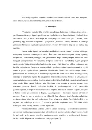 Baigiamojo darbo modelio rengimas ir informacijos šaltinių analizė. Paveikslėlis 6