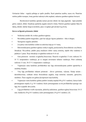 Baigiamojo darbo modelio rengimas ir informacijos šaltinių analizė. Paveikslėlis 8