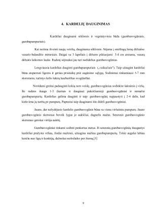 Baigiamojo darbo modelio rengimas ir informacijos šaltinių analizė. Paveikslėlis 9