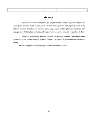 Papartžių klasifikacija ir jų augimo sąlygos. Paveikslėlis 10