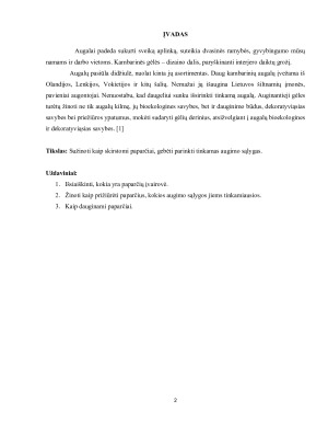 Papartžių klasifikacija ir jų augimo sąlygos. Paveikslėlis 2