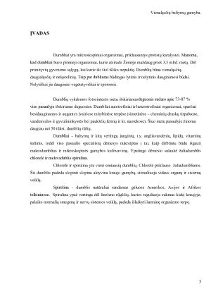 Vienaląsčių baltymų gamyba. Paveikslėlis 3