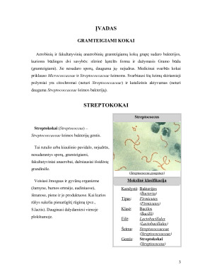 Gramteigiamos bakterijos- pūlinių uždegimų sukelėjai (STREPTOKOKAI). Paveikslėlis 3