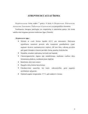 Gramteigiamos bakterijos- pūlinių uždegimų sukelėjai (STREPTOKOKAI). Paveikslėlis 4