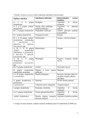 Gramteigiamos bakterijos- pūlinių uždegimų sukelėjai (STREPTOKOKAI). Paveikslėlis 5