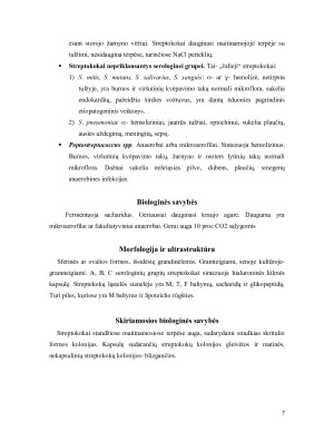 Gramteigiamos bakterijos- pūlinių uždegimų sukelėjai (STREPTOKOKAI). Paveikslėlis 7