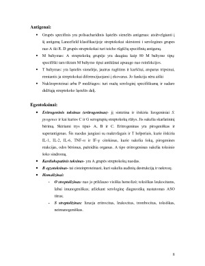 Gramteigiamos bakterijos- pūlinių uždegimų sukelėjai (STREPTOKOKAI). Paveikslėlis 8