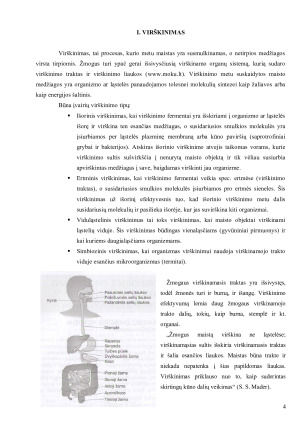 VIRŠKINIMAS IR MITYBA. Paveikslėlis 4