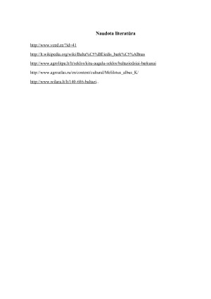 Baltažiedžio barkūno (Melilotus albus) biologinės savybės ir auginimo sąlygos. Paveikslėlis 7