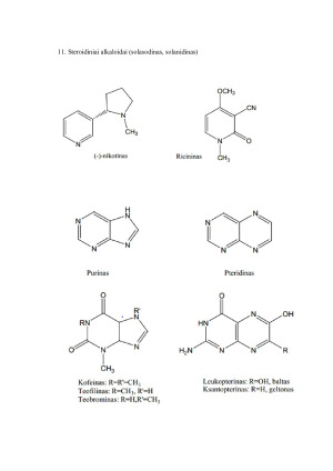 Alkaloidai savybės, istorija ir reikšmė medicinoje. Paveikslėlis 5