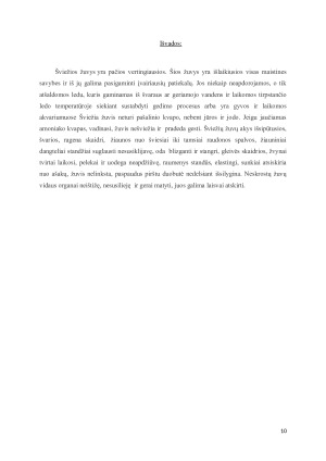 Dažniausiai maistui parduodamos gyvos žuvys. Paveikslėlis 10