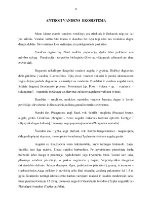 Ekosistemų tyrimas. Paveikslėlis 8