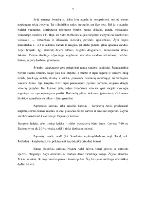Ekosistemų tyrimas. Paveikslėlis 9