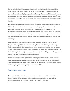 Naujos technologijos organų transplantacijoje. Paveikslėlis 4