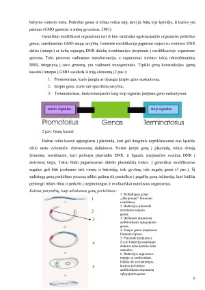 Genetiškai modifikuoti organizmai - atsiradimas, nauda ir grėsmės žmogui bei aplinkai. Paveikslėlis 6