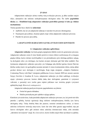 ADAPTACINĖS RADIACIJOS EVOLIUCIJOJE. Paveikslėlis 3