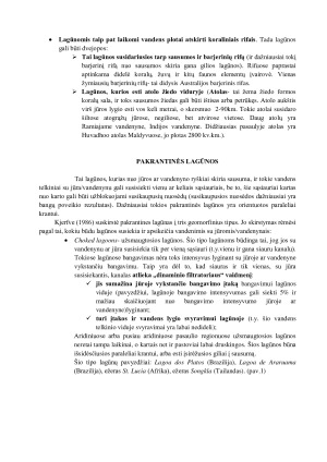 LAGŪNOS. Paveikslėlis 4