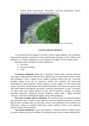 LAGŪNOS. Paveikslėlis 6