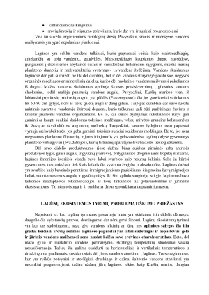 LAGŪNOS. Paveikslėlis 8