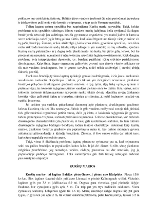 LAGŪNOS. Paveikslėlis 9