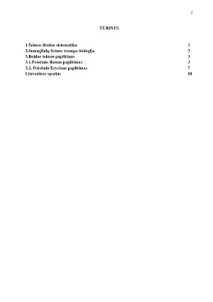 SMAUGLINIŲ (BOIDAE) ĮVAIROVĖ IR PAPLITIMAS. Paveikslėlis 2