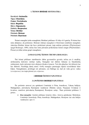 SMAUGLINIŲ (BOIDAE) ĮVAIROVĖ IR PAPLITIMAS. Paveikslėlis 3