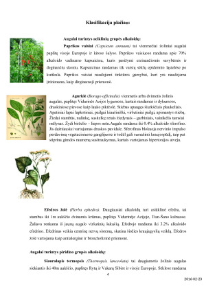 ALKALOIDAI. Paveikslėlis 4