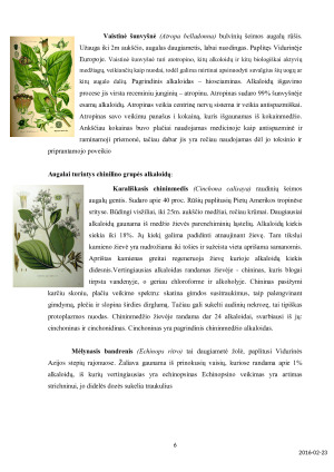 ALKALOIDAI. Paveikslėlis 6