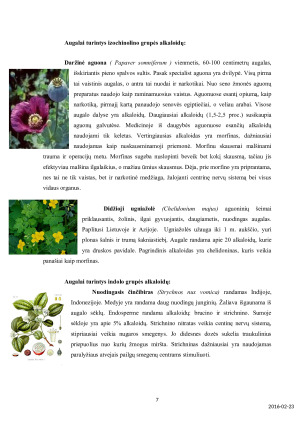 ALKALOIDAI. Paveikslėlis 7