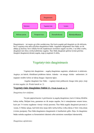 Vegetatyvinis dauginimasis. Paveikslėlis 2
