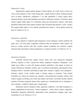 Vegetatyvinis dauginimasis. Paveikslėlis 5