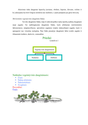 Vegetatyvinis dauginimasis. Paveikslėlis 6
