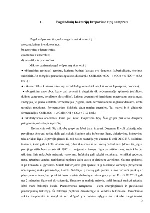 Bakterijų kvėpavimo procesas ir jo ryšys su toksinėmis infekcijomis. Paveikslėlis 3