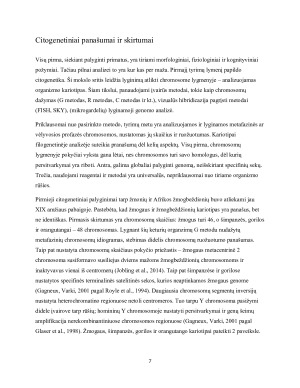 Kokie genetiniai pokyčiai mus pavertė žmonėmis. Paveikslėlis 7