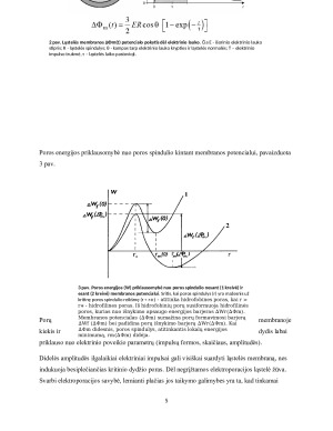 Ląstelių elektroporacija. Paveikslėlis 5