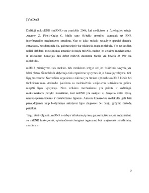 miRNR – MOKSLO REVOLIUCIJA. Paveikslėlis 3