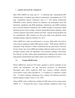 miRNR – MOKSLO REVOLIUCIJA. Paveikslėlis 4