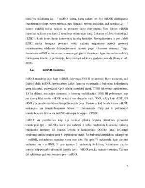 miRNR – MOKSLO REVOLIUCIJA. Paveikslėlis 5