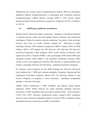 miRNR – MOKSLO REVOLIUCIJA. Paveikslėlis 7