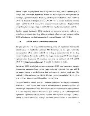 miRNR – MOKSLO REVOLIUCIJA. Paveikslėlis 8