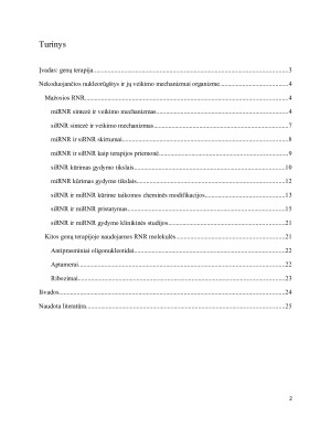 RNR ir oligonukleotidų taikymas genų terapijoje. Paveikslėlis 2